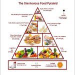 download pic omnivorous food pyramid