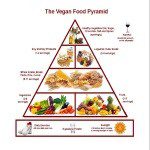 download pic vegan food pyramid