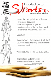 Introduction to Shaitsu Weekend Workshop