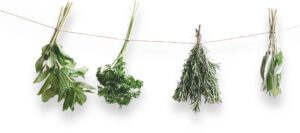 Herbal remedy ingredients on a string, including dried leaves, flowers, and stems